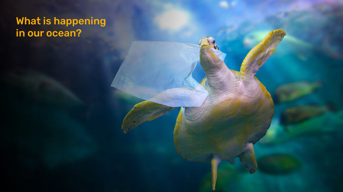 What is happening in our ocean?